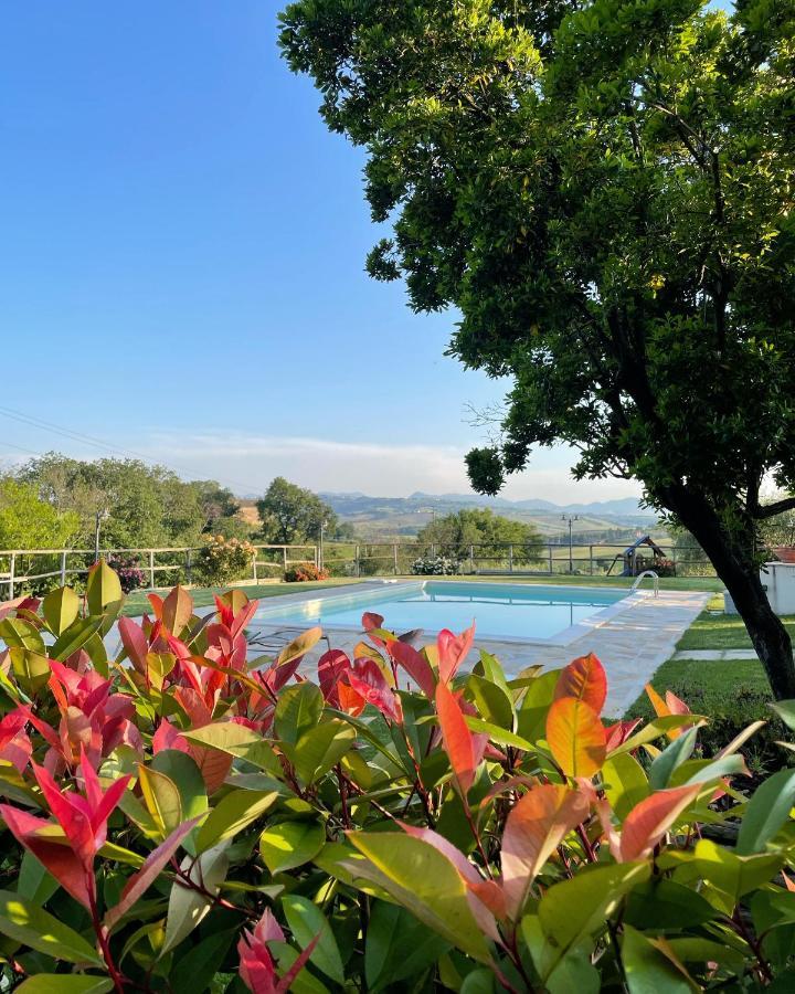 Montenovo Country House Ostra Vetere Экстерьер фото
