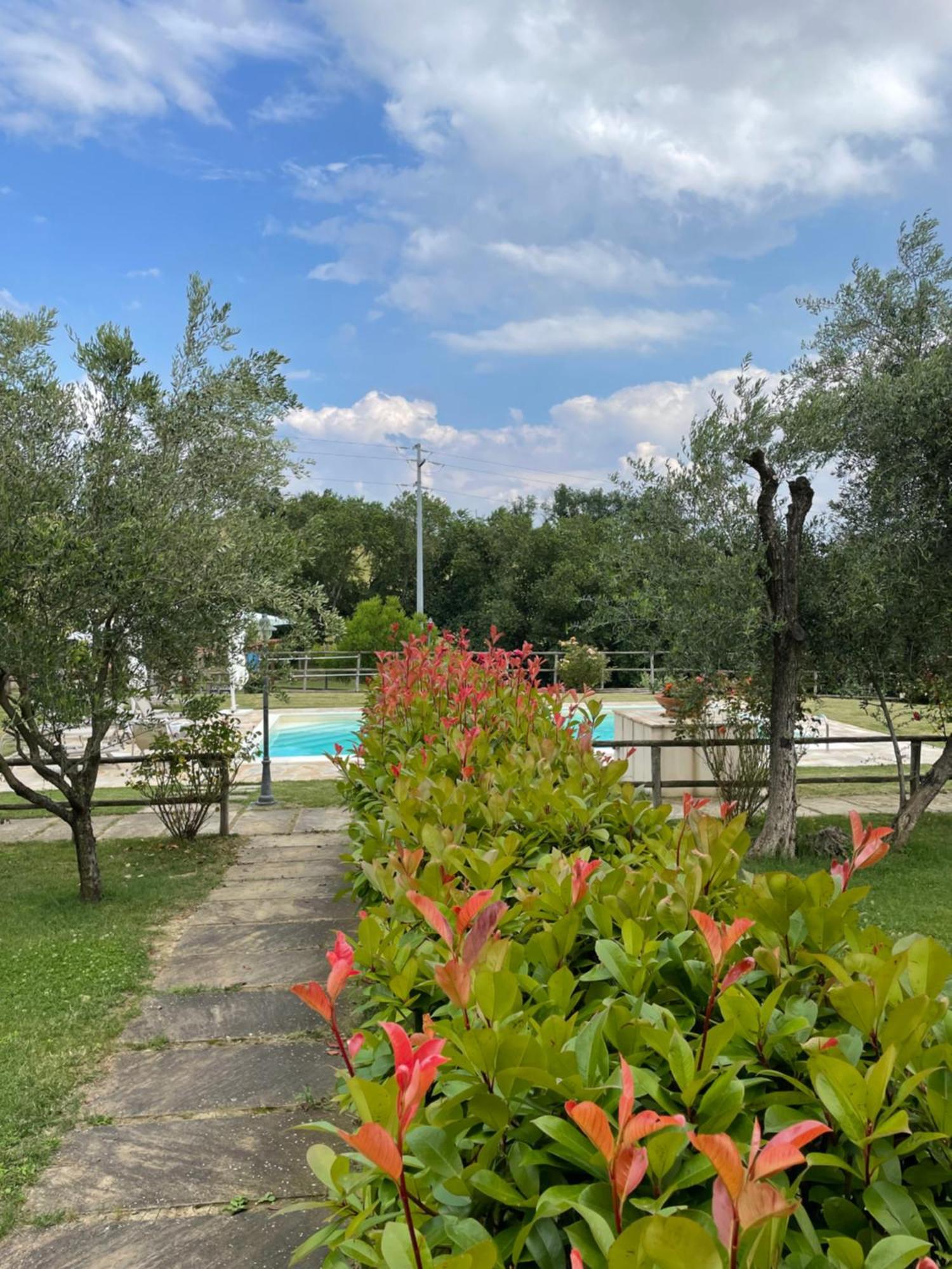 Montenovo Country House Ostra Vetere Экстерьер фото