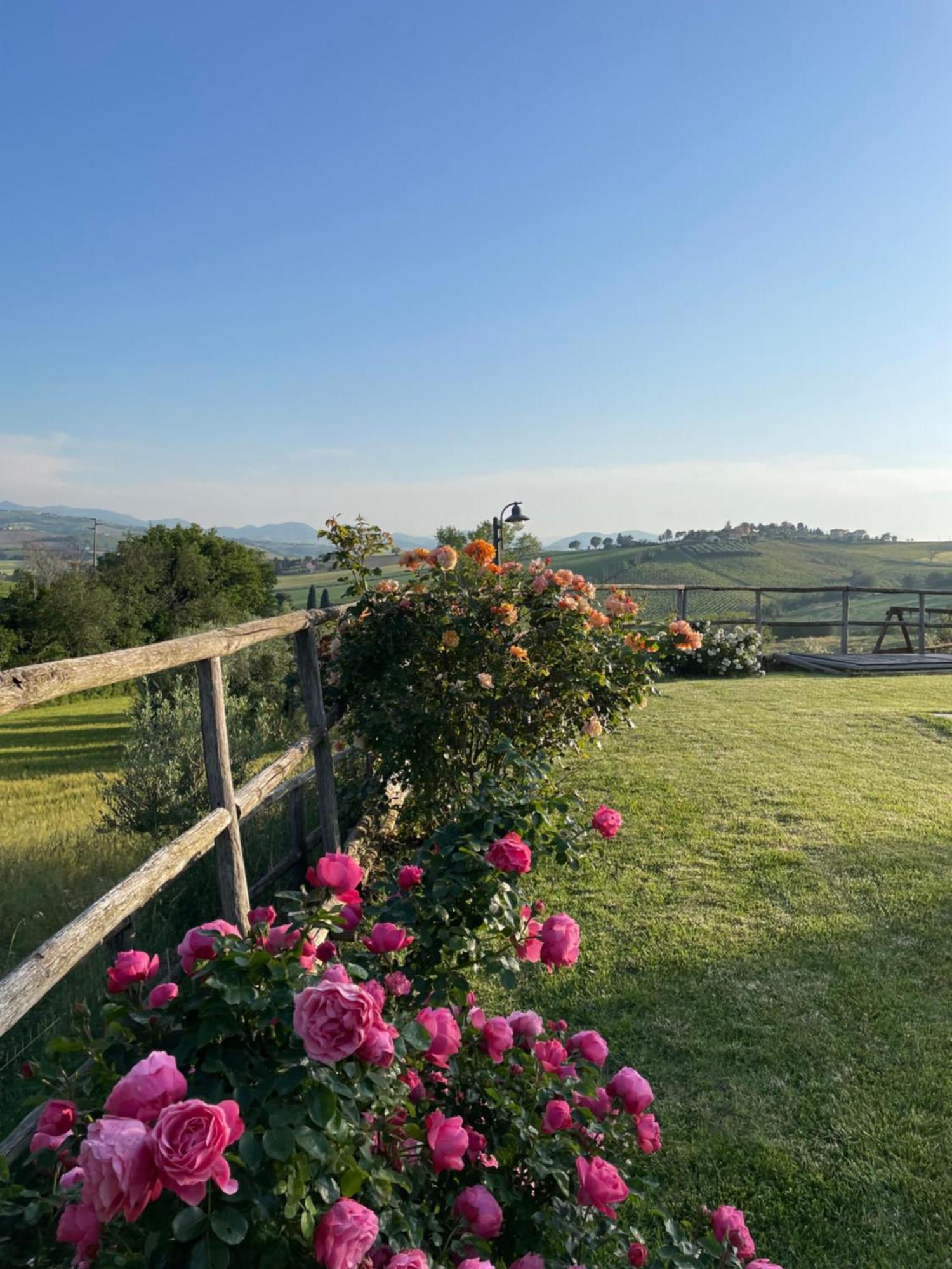 Montenovo Country House Ostra Vetere Экстерьер фото
