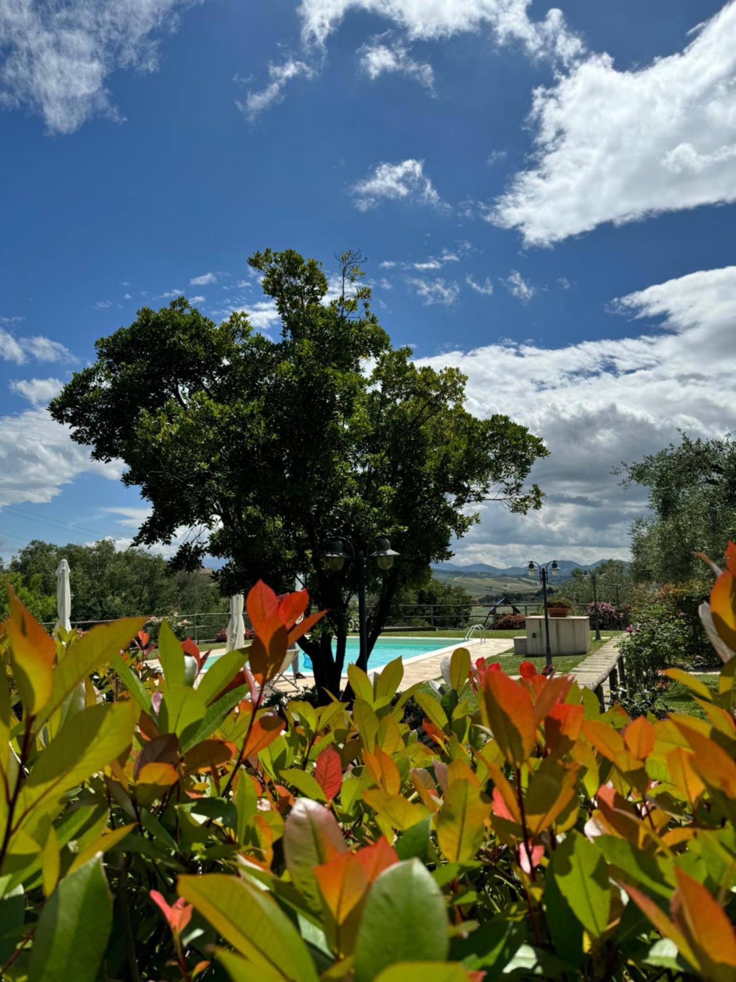 Montenovo Country House Ostra Vetere Экстерьер фото