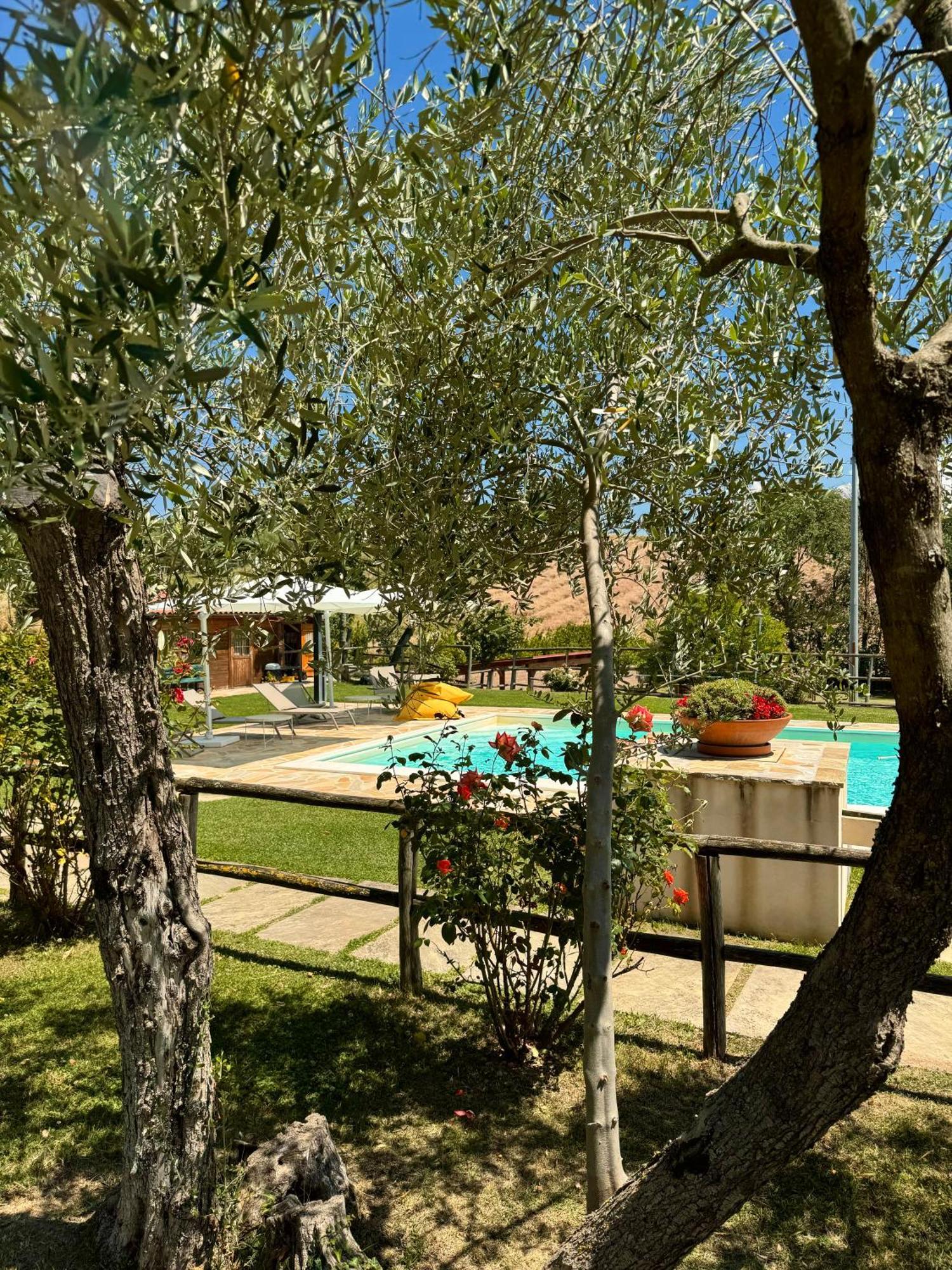 Montenovo Country House Ostra Vetere Экстерьер фото