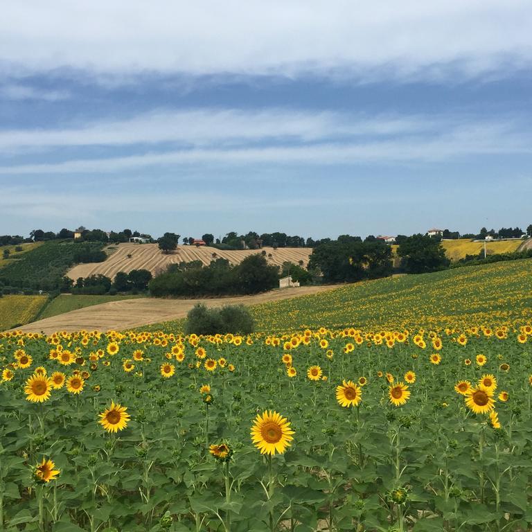 Montenovo Country House Ostra Vetere Экстерьер фото